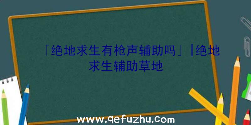 「绝地求生有枪声辅助吗」|绝地求生辅助草地